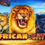 Africa Cats Slots