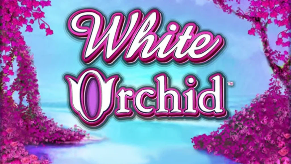 White Orchid