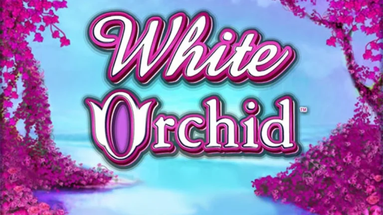 White Orchid
